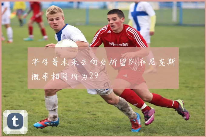 字母哥未来去向分析留队和尼克斯概率相同均为29