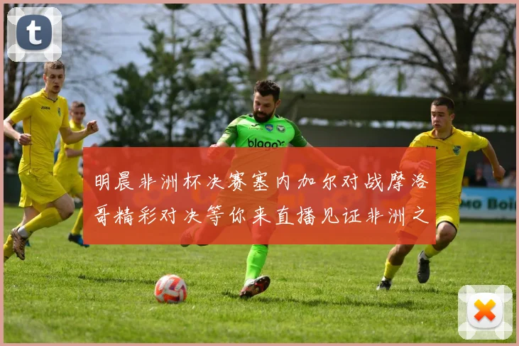 明晨非洲杯决赛塞内加尔对战摩洛哥精彩对决等你来直播见证非洲之王的诞生