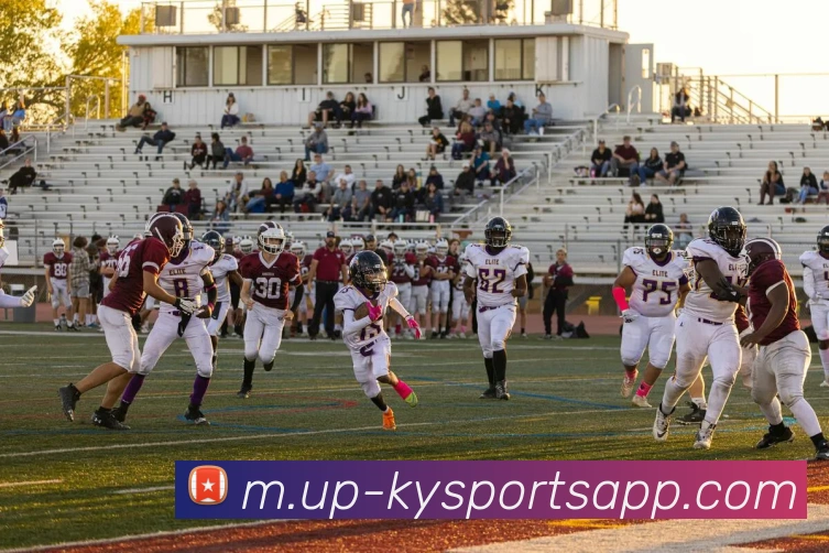 App Interface Preview